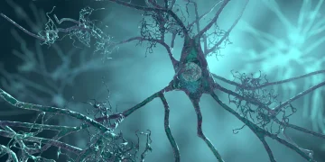 Rizikový gen Alzheimera mění mozek roky před příznaky