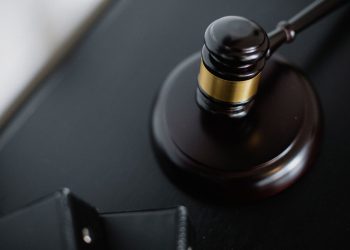 Studie: Společná právnická škola soudce a advokáta ovlivňuje verdikty